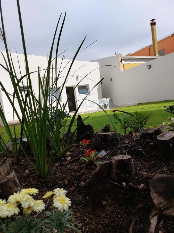 Don Quijote Holiday home *